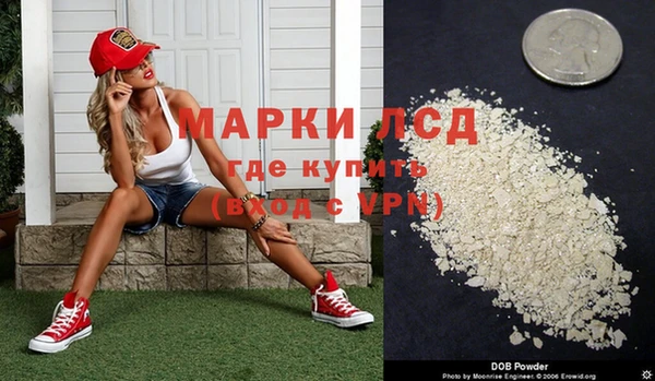 шишки Долгопрудный